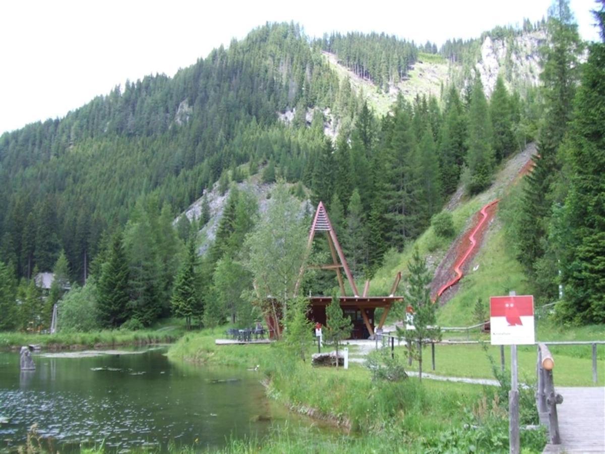 Chalet In Hohentauern With In House Wellness Екстериор снимка
